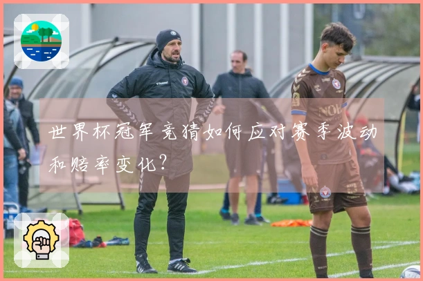 世界杯冠军竞猜如何应对赛季波动和赔率变化？