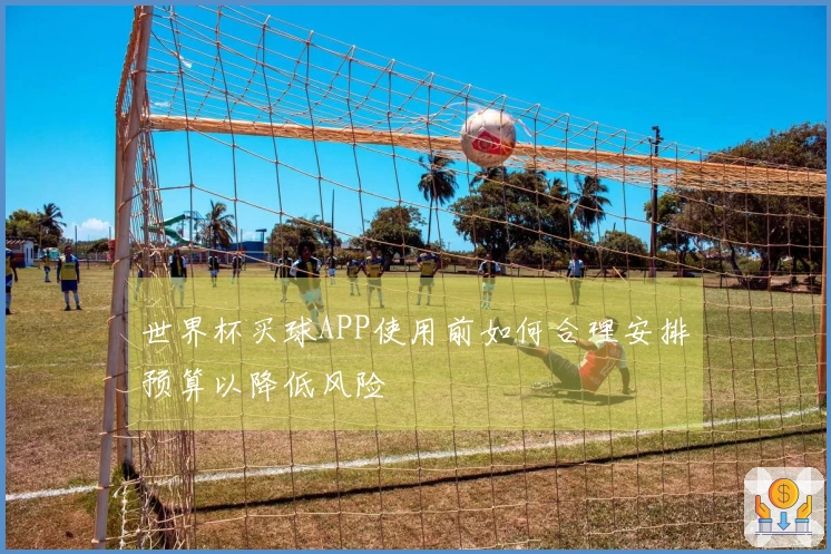 世界杯买球APP使用前如何合理安排预算以降低风险