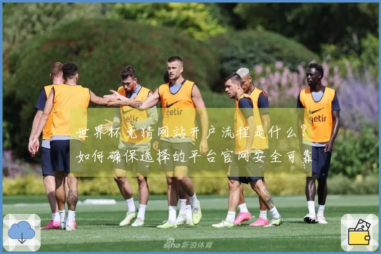 世界杯竞猜网站开户流程是什么？如何确保选择的平台官网安全可靠